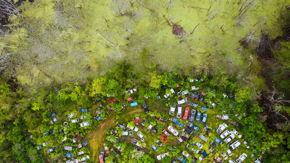 Cash for Old Car Bacchus Marsh: The Ultimate Recycling Guide - cash for old car bacchus marsh