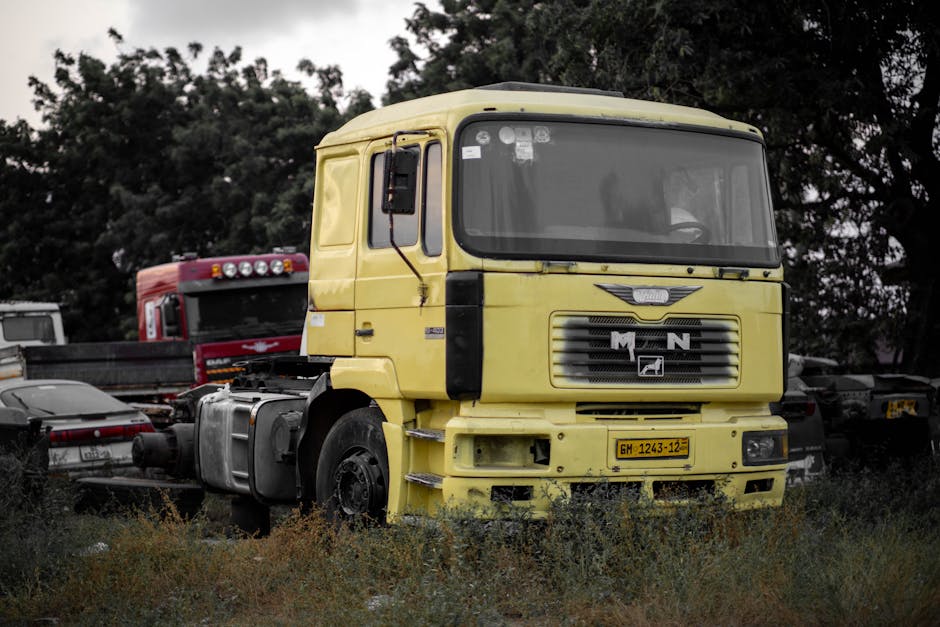 Cash for Trucks Oakleigh: Get Paid Today - cash for trucks oakleigh