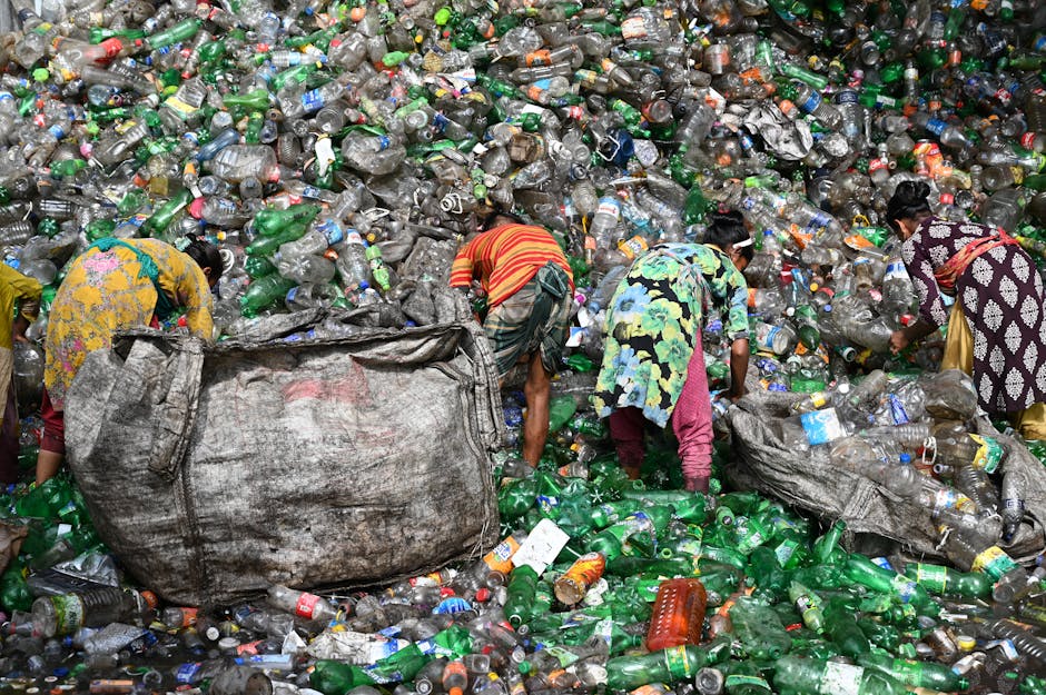 How to Sell Pet Bottle Scrap: The Ultimate Guide for Australians - how to sell pet bottle scrap