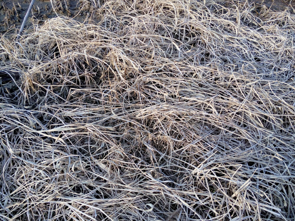 How Much is 1 kg Wire Scrap Worth