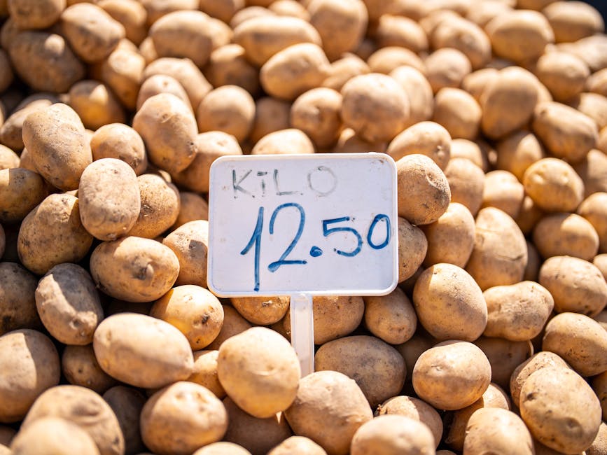 Current Price of Lead Per Kilo: A Comprehensive Market Guide - price of lead per kilo