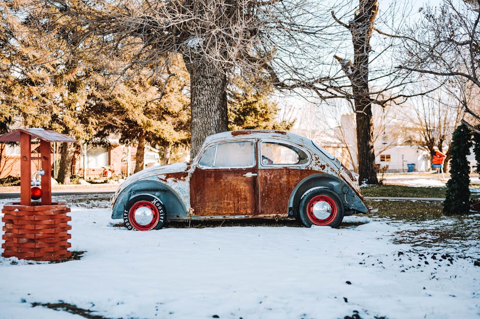 Professional Car Removal Barren Grounds: A Comprehensive Guide - car removal barren grounds